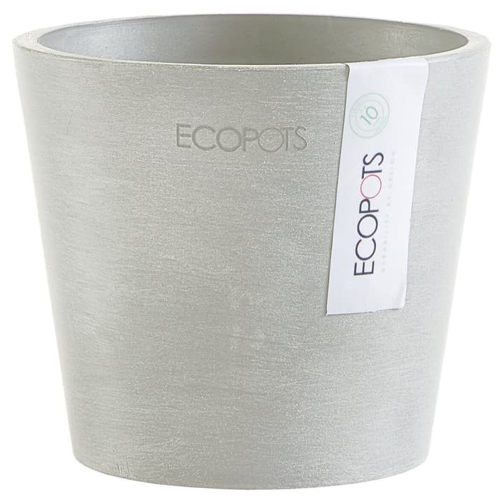 Ecopots Ecopot Amsterdam Mini Bertopf Kaufen Bei Do It Garden Migros