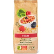 Kaufen Alnatura Protein Müsli Migros