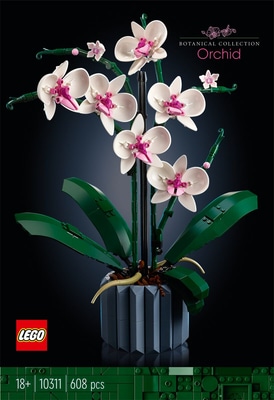 10311 10311 Orchidea