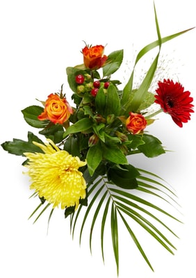 Bettwäsche micasa Bettwäsche micasa