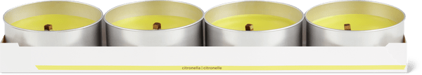 Migros Home Kerzen citronella