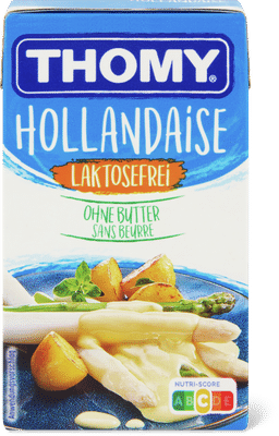 Thomy Salsa olandese senza lattosio