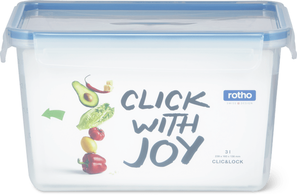 Rotho Plastic Storage Box 3l, Silicone
