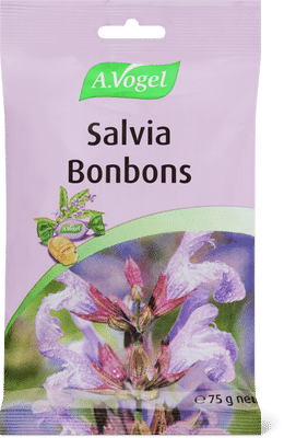 A. Vogel Salvia