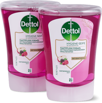 Dettol Savon hygiénique antibactérien  Fruits du jardin