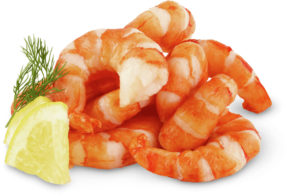 Bio Black Tiger Crevetten Tail-off vorgekocht