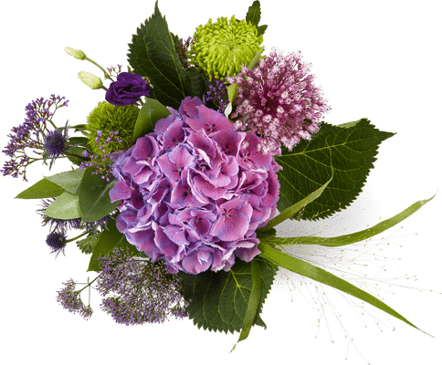 Migros Bouquet d’hortensias