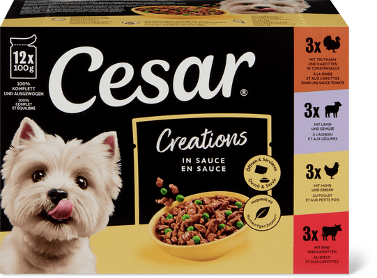 Cesar Creations in Sauce