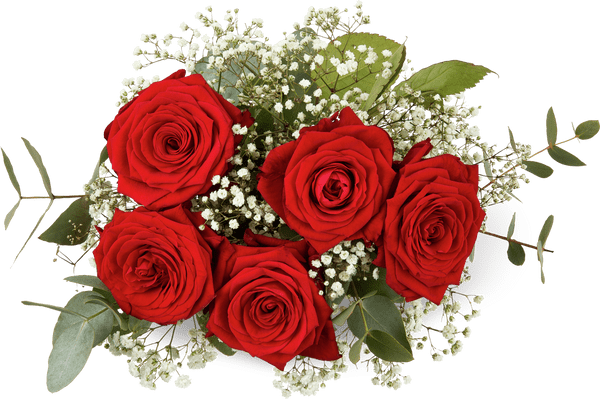 Premiumstrauss Valentin