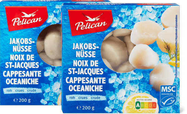 Pelican MSC Capesante crude