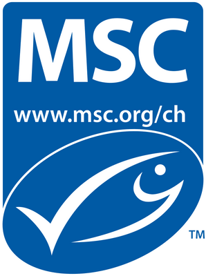 Marchi: MSC