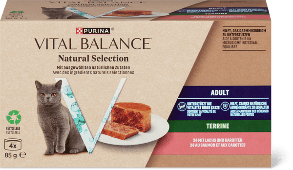 Vital Balance Natural Selection Adult Salmon & Carrot Terrine