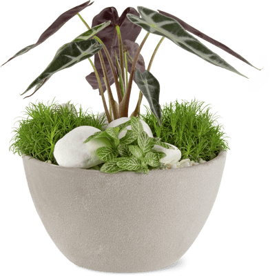 Ciotola con fiori grande