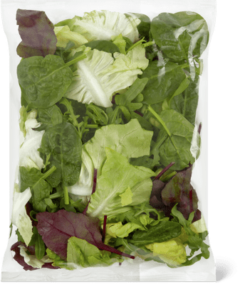 Bio Spring Salad