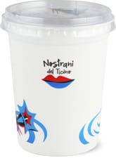 Yogourt nature