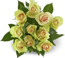 Fairtrade roses grande 50cm