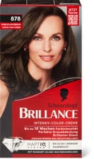 Brillance 878 cendre Châtain foncé