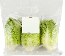 Laitue romaine mini vert