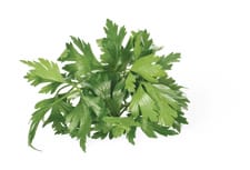 Persil plat