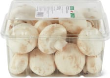 M-Budget Champignons