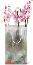 Orchidee 2 tiges 12cm