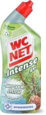 Intense Gel Mountain Fresh