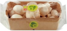 Migros Bio champignons bianchi