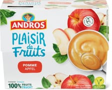 Andros sans sucres pomme