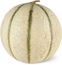 Sélection melon