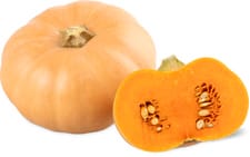 Zucca specialità