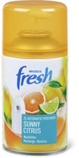XL Automatic Sunny Citrus