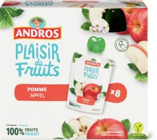 Andros bag pomme nat. 0%