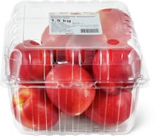 Pesche Noci gialle