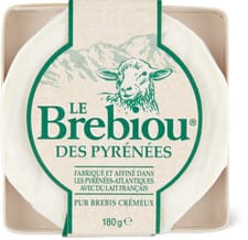 Brebiou des Pyrénées