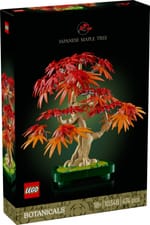 LEGO BOTANICALS 10348