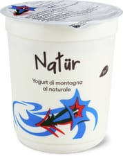 Yogurt Natur