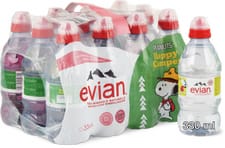 Evian Mini non gazeuse