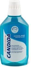Candida Dental Fluid Cooling