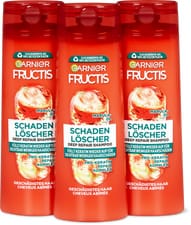 Fructis shampooing Schadenlöscher