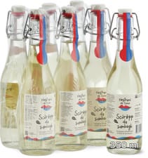 Nostrani del Ticino Syrup Elderberry