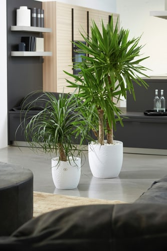 Planter Ø19 white