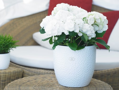 Planter Ø19 white