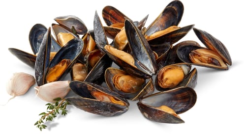 M-Classic MSC Muscheln Knoblauch