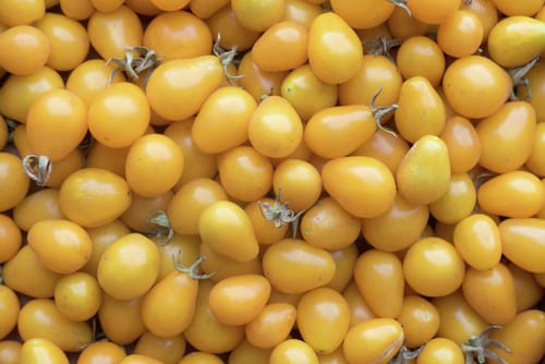 KIRSCHTOMATE YELLOW