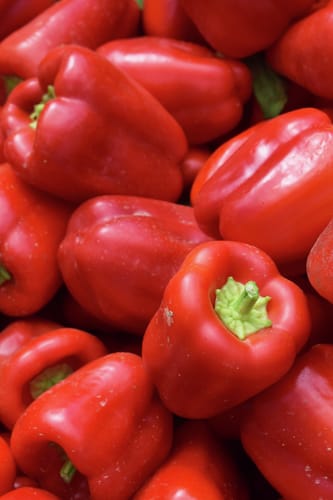 Paprika, Albaregia