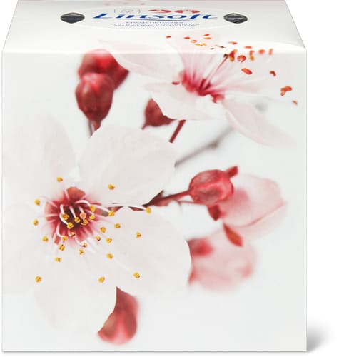 Linsoft Cube de serviettes à démaquiller 2 épaisseurs
