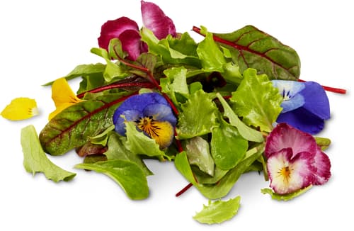 Migros Bio salade fleur mix