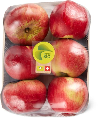 Migros Bio Saisonäpfel