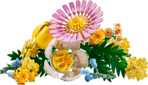 LEGO BOTANICALS 10347