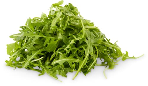 Rucola